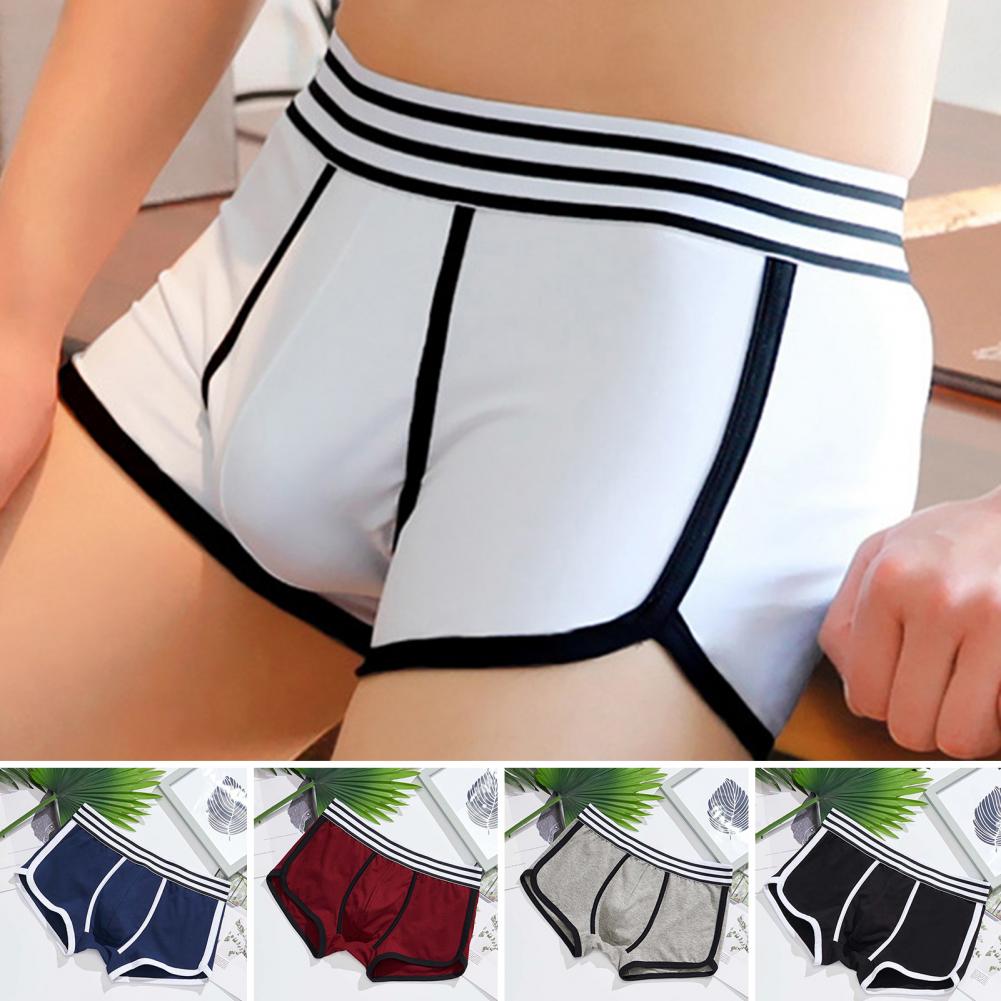 Bóxer de absorción de sudor pa - Boxer Brief Pack Cotton reseña y precio